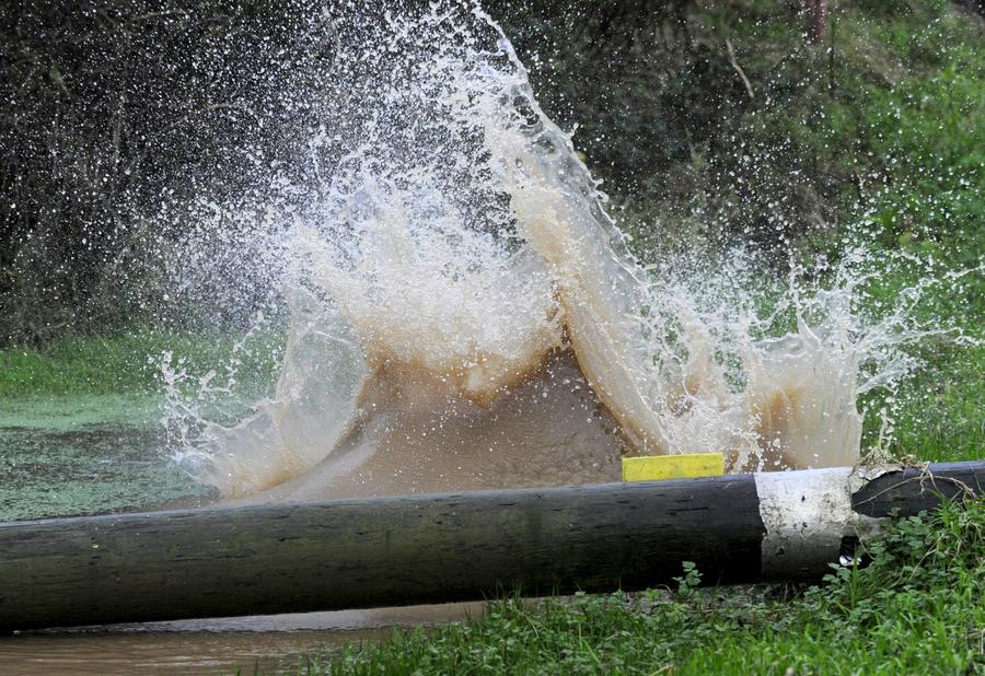 Brave competitors swamp in Christmas mud run