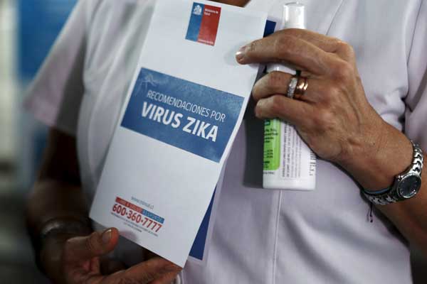 O estimates up to 4 mln infected by Zika virus in