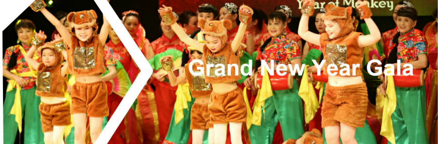 Excitement, charm and grace: Chinese New Year in UK