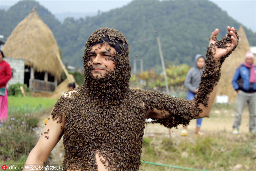 Nepalese man covers himself in fatal Serena bees