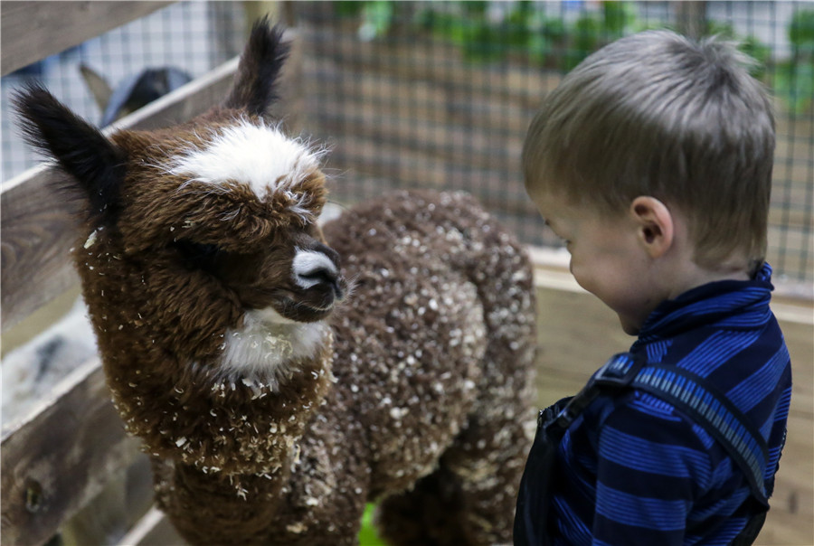Moscow's largest petting zoo opens