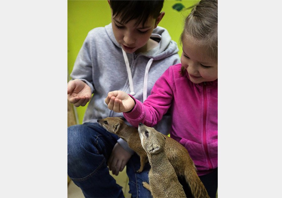 Moscow's largest petting zoo opens