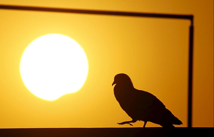 Solar eclipse captivates Asia and the Pacific