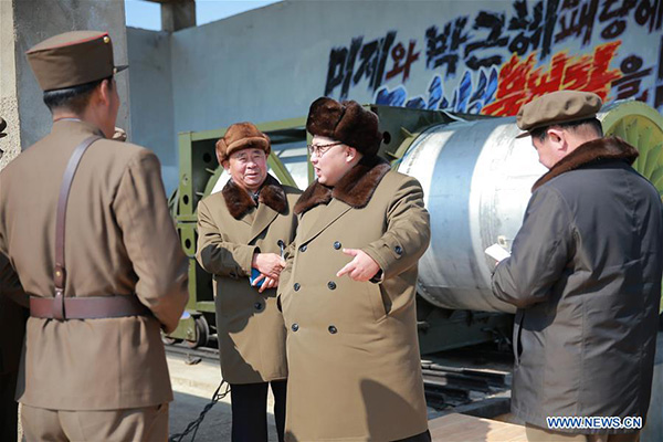 DPRK test-fires new-type guided rockets: report