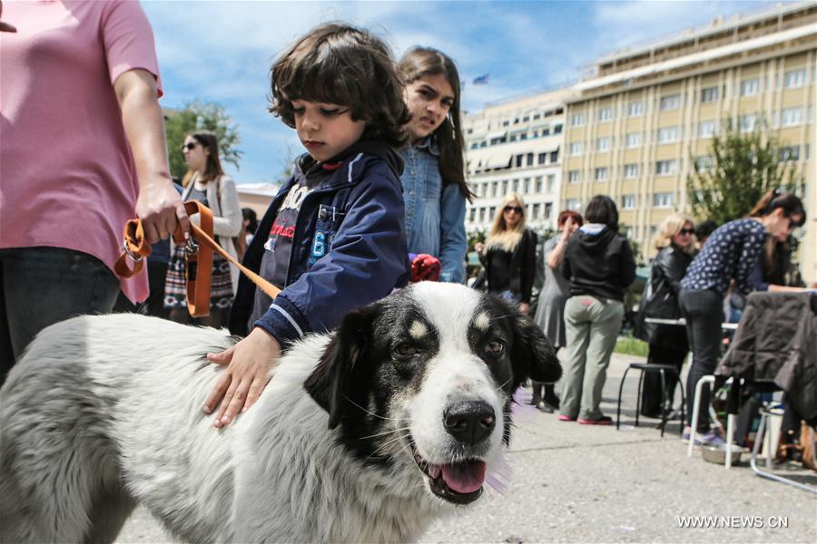 Stray dog adoption event held in Greece