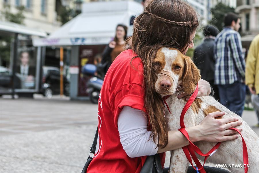 Stray dog adoption event held in Greece