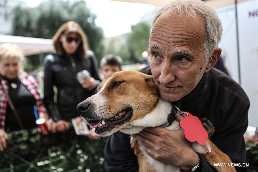 Stray dog adoption event held in Greece
