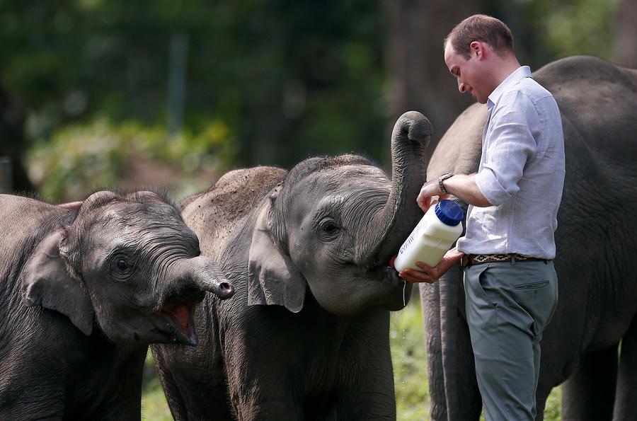 Prince William and Kate visit India's wildlife hot