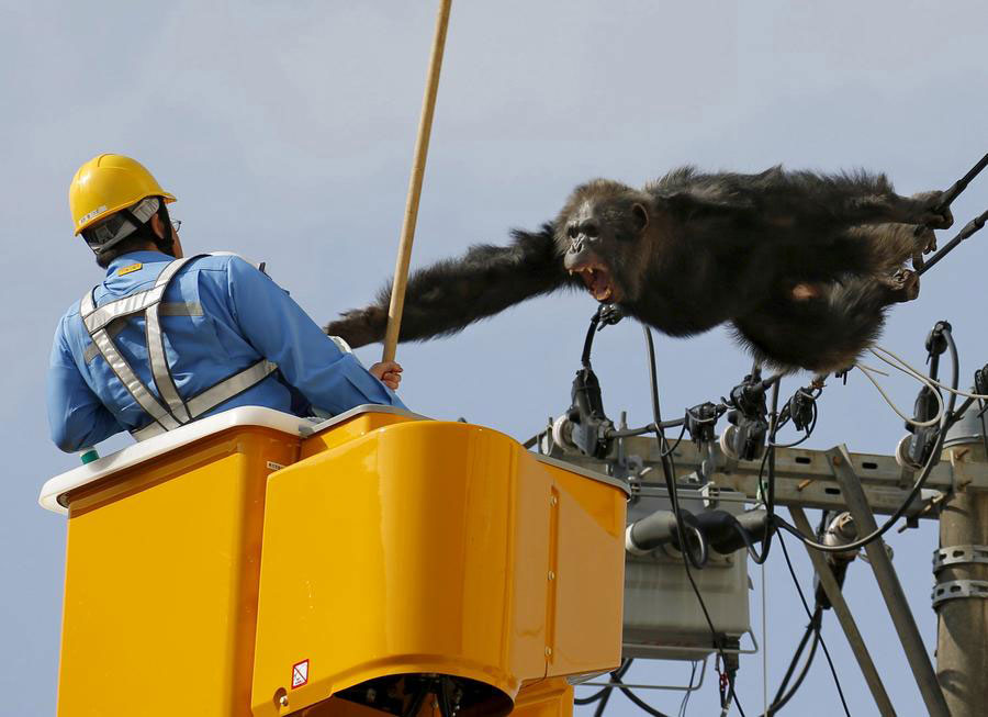The world in photos: April 11- April 17