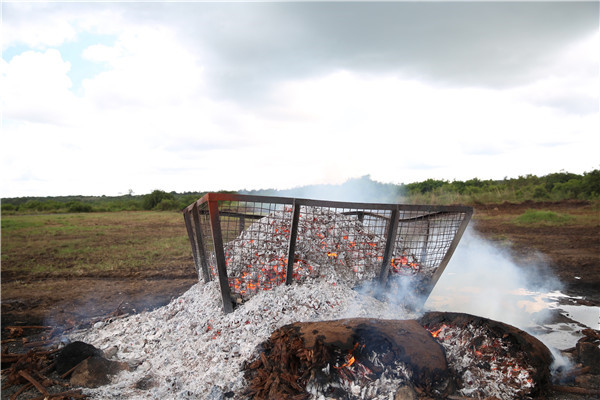 Ivory burning won't increase price: Kenya wildlife chief