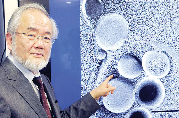Japanese scientist wins Nobel for cell 'self-eati