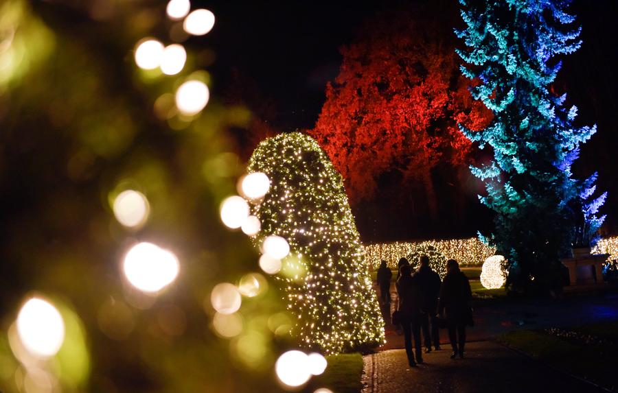 Light show kicks off in Berlin