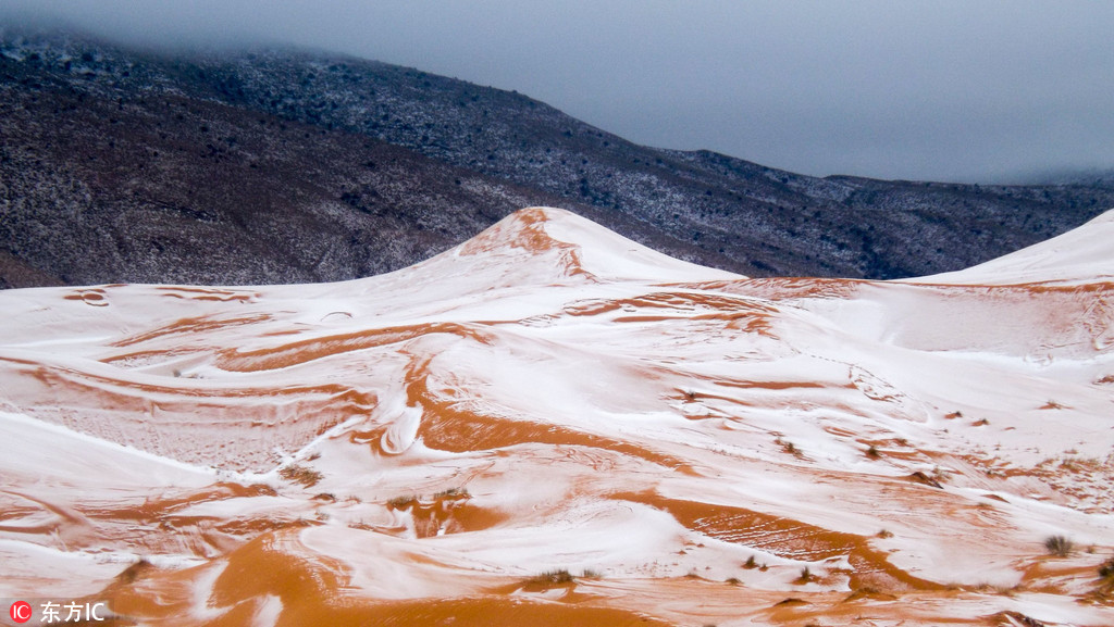 Sahara Desert with snow