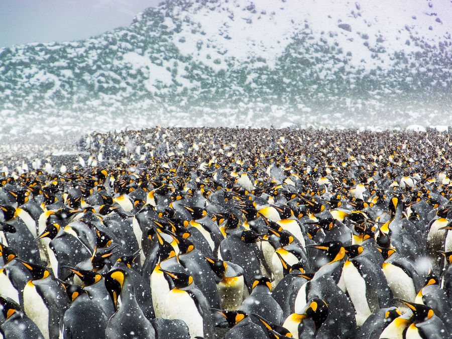 The world in photos: Jan 9 - 15