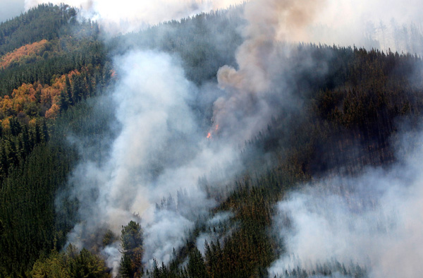 Chile declares state of emergency due to massive wildfires