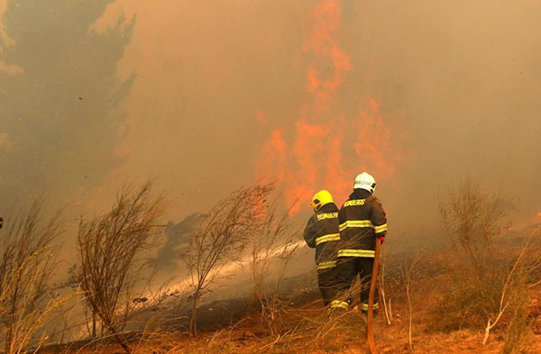 Wildfires in Chile destroy homes, livestock, livelihoods