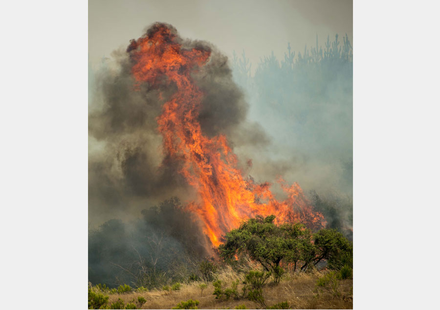 Chile battles devastating wildfires as international help pours in