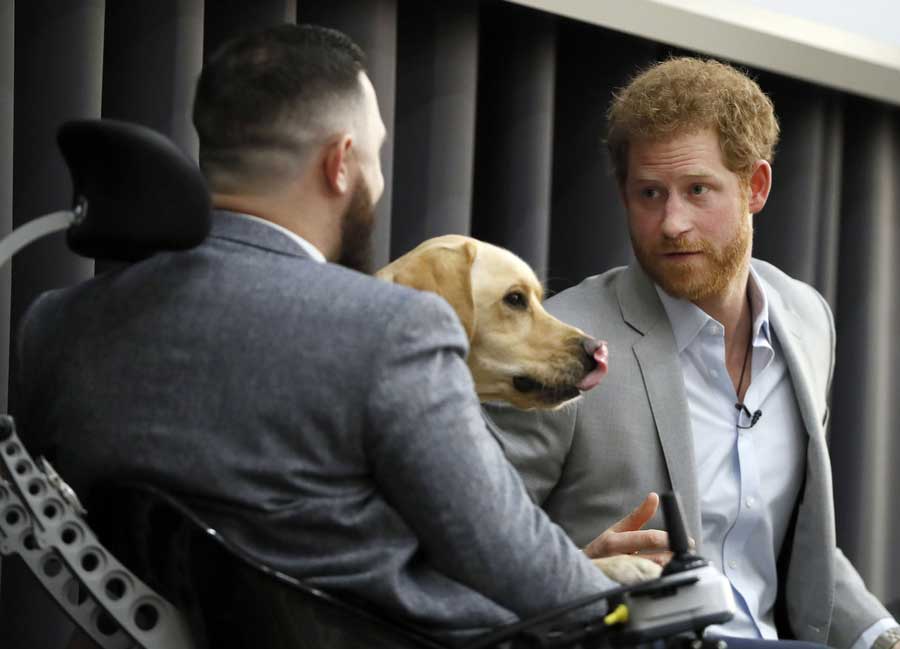 Yawning dog steals Prince Harry's thunder at health discussion