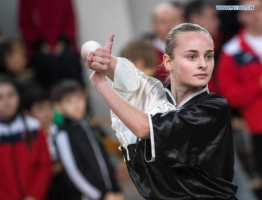 3rd Lithuanian Open Wushu Championship held in Vilnius