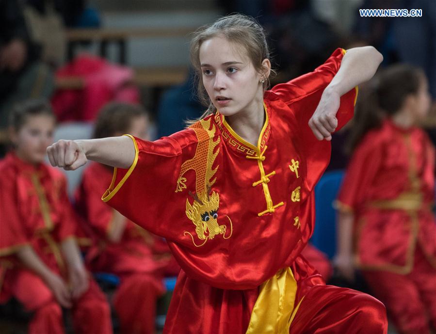 3rd Lithuanian Open Wushu Championship held in Vilnius