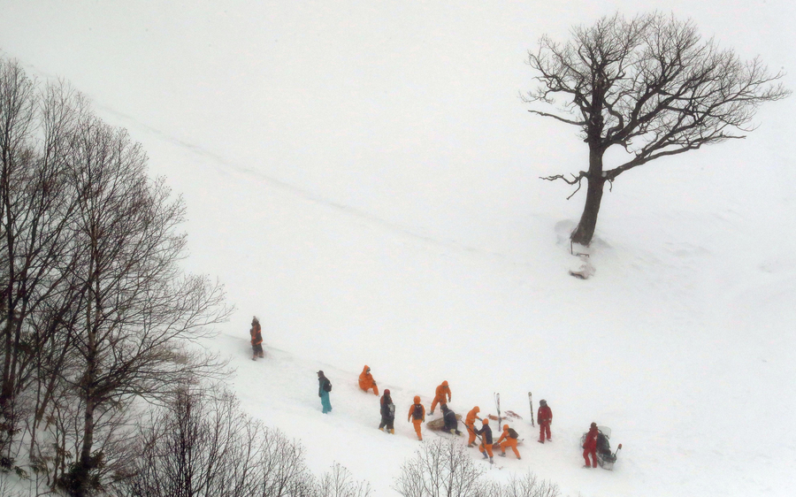 8 killed after avalanche hits E. Japan, 40 others injured