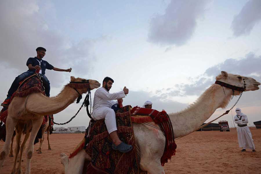 Camel pageant held in Saudi Arabia