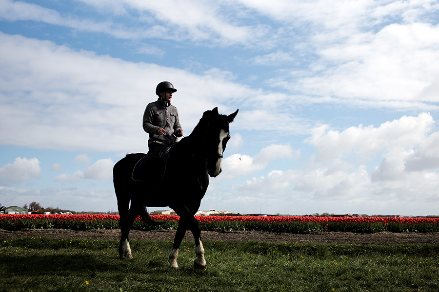 Spring tulips engulf Netherlands, Turkey with beauty