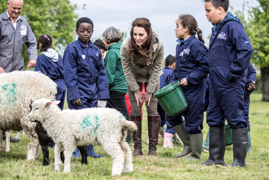 UK's Duchess Catherine joins school children down on the farm
