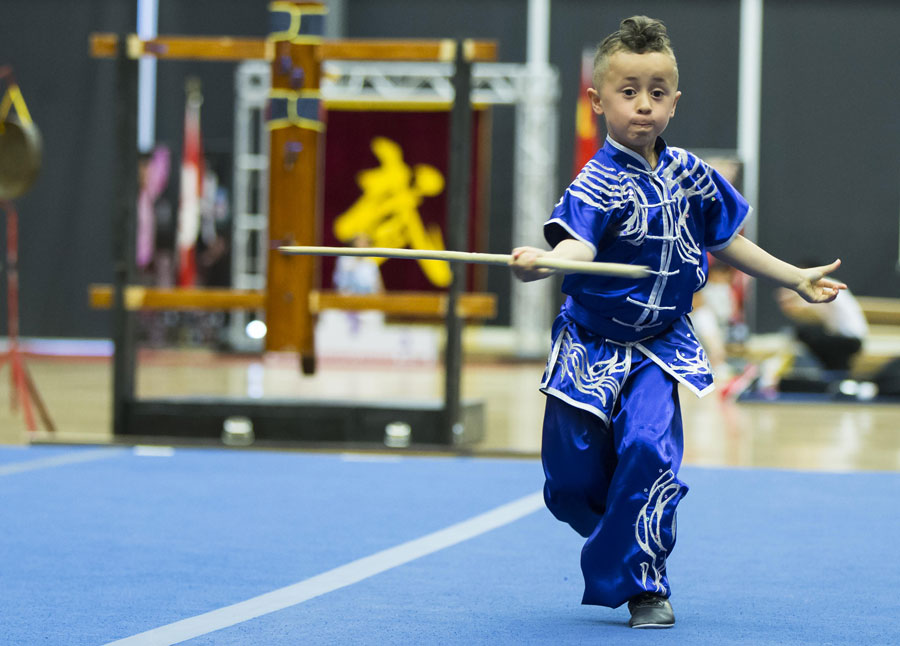 Martial arts lovers show their stuff at Canadian festival