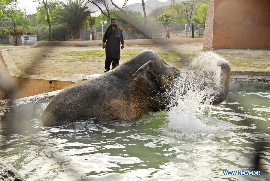 Heat wave hits Islamabad, Pakistan