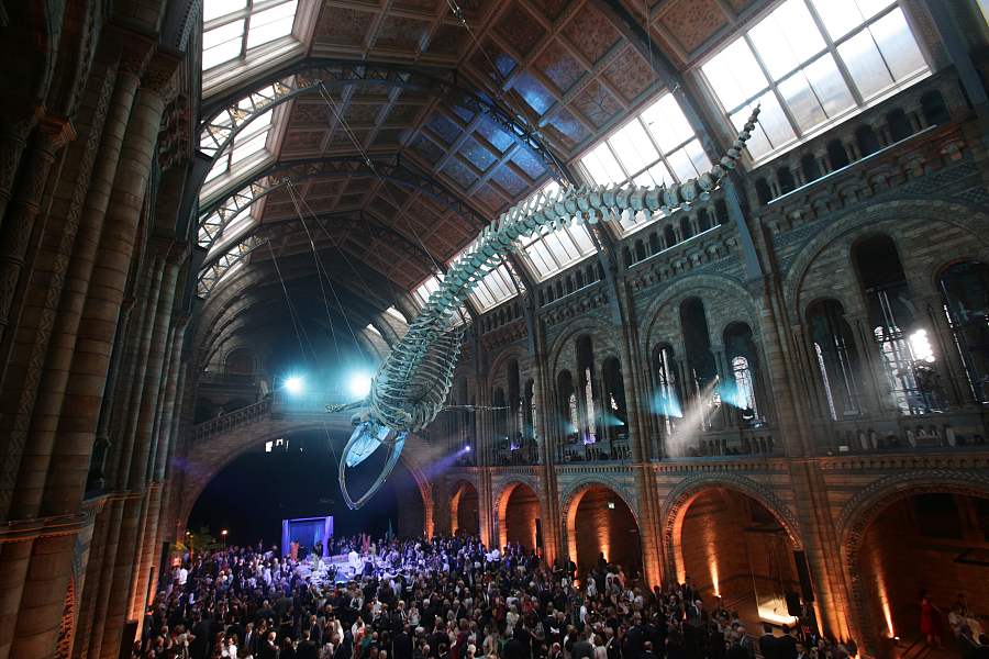 Britain's Natural History Museum unveils giant blue whale