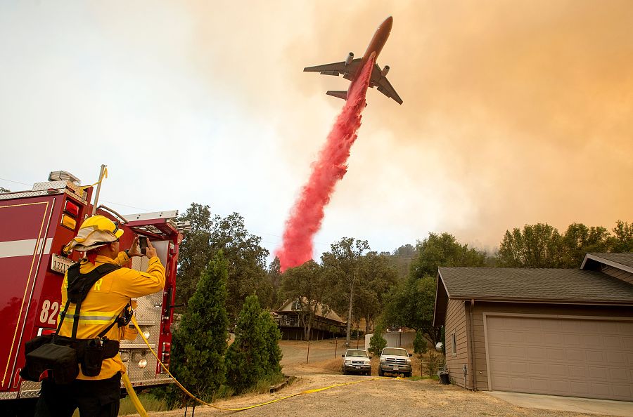 The world in photos: July 17-23