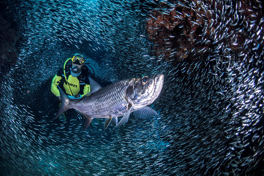 The world in photos: Aug 7 - Aug 13