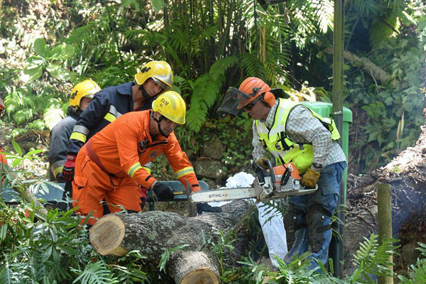 Tree falls on Portugal's Madeira Island, killing 13