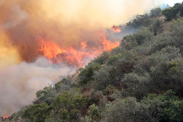 L.A. declares local emergency amid huge wildfire