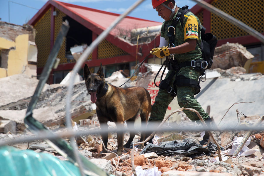 Mexican quake death toll rises to 90