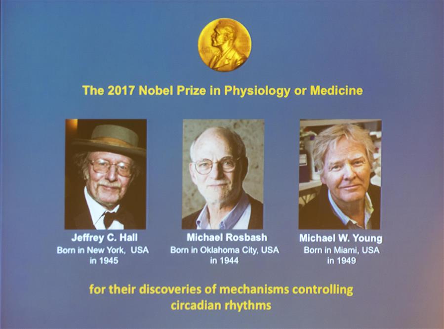US biology trio share Nobel Prize[1]