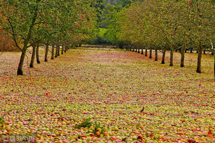 The world in photos: Oct 23-29