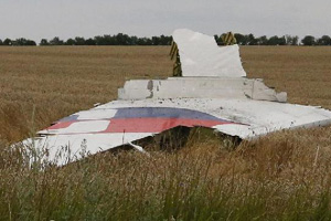 MH17 crash insurance may be complex, lengthy