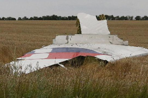 Hong Kong resident on board MH17: FM