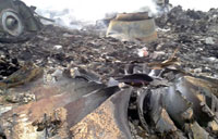 WHO loses spokesperson in flight MH17 crash
