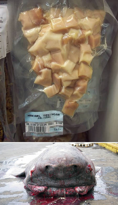外媒评选的十大奇怪小吃(图文)