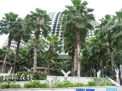 新加坡:全球化的复制品