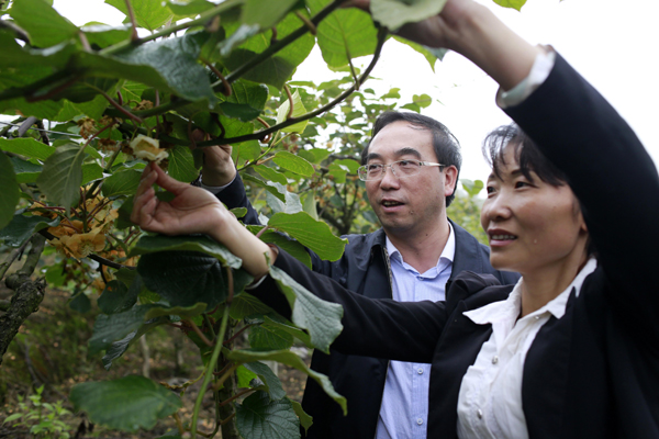 贵州:生态建设种下绿色种子