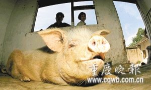 汶川地震博物馆下周开馆 再现抗震场景