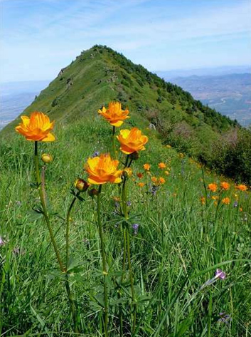 中国十大“非著名”山峰(组图)