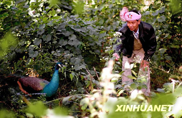 共和国同龄人:一个跳了40年孔雀舞的民间艺人