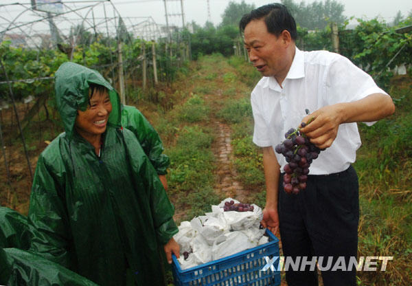 严宏昌：一个“手印农民”的60载土地深情