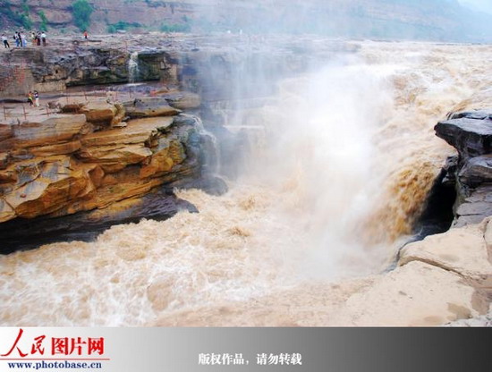 黄河壶口波涛汹涌 呈现夏季独有奇观