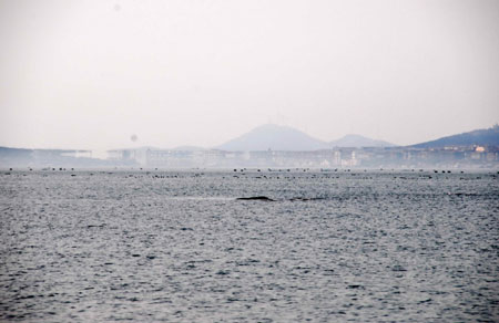 人间仙境蓬莱现海市蜃楼等三大海上奇观